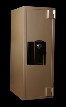 BPKB SAFE 10 LACI